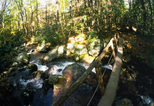 Lower Mt. Cammerer Trail